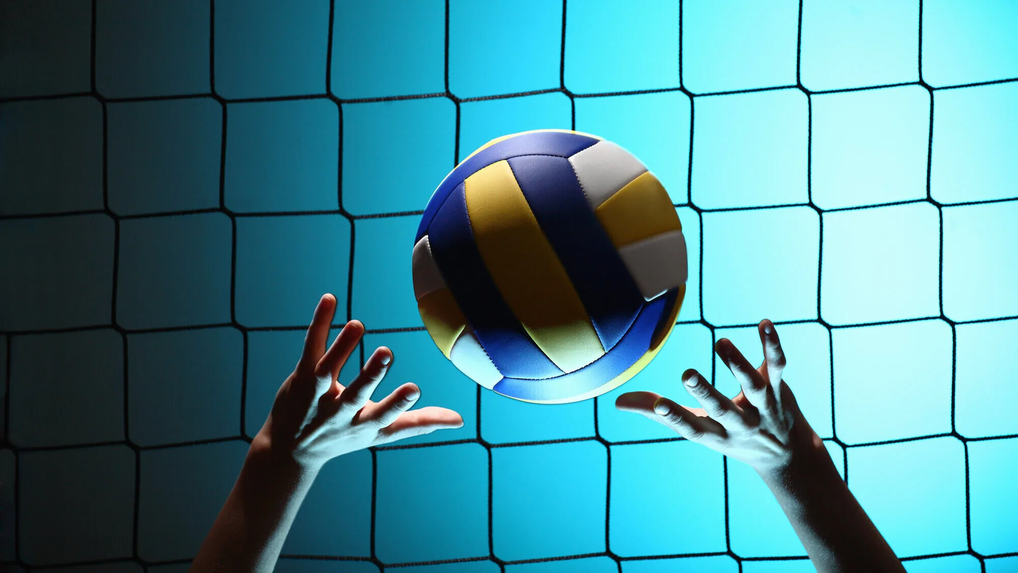 What's Next for Maison du Volley