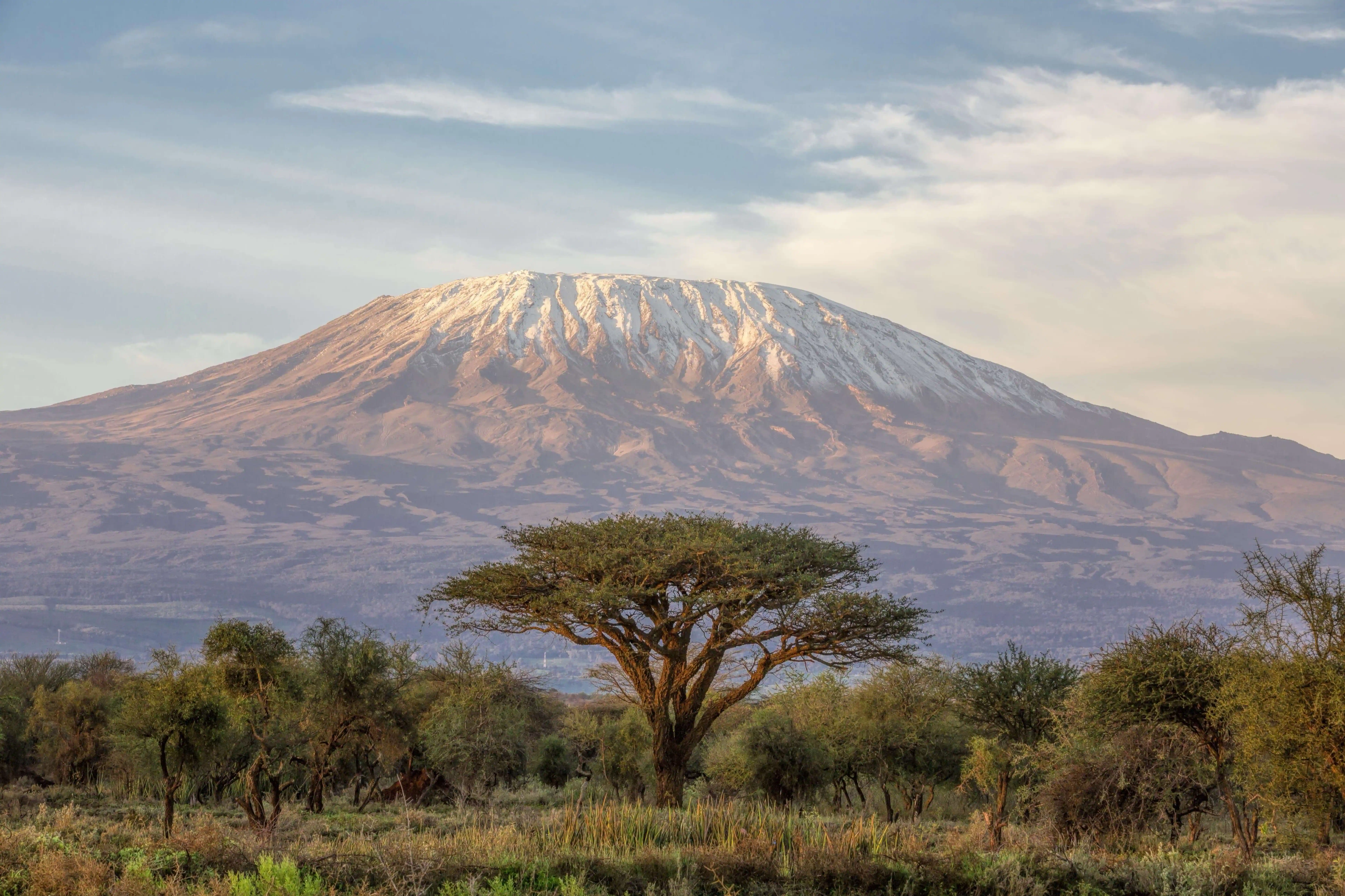 Tanzania — Kilimanjaro Volleyball & Safari